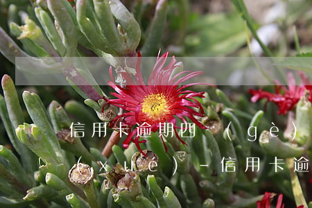 信用卡逾期四個(gè)月影響孩子考大學(xué)-信用卡逾期四個(gè)月影響孩子考大學(xué)嗎