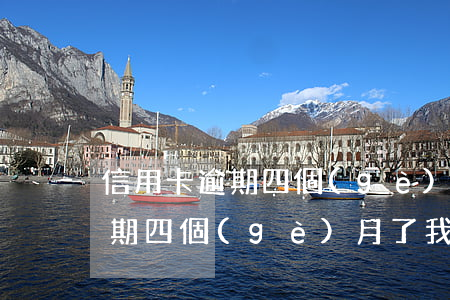 信用卡逾期四個(gè)月怎么辦(信用卡逾期四個(gè)月了,我該怎么辦)