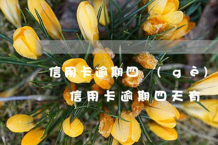 信用卡逾期四個(gè)月會(huì)怎樣(信用卡逾期四天有沒(méi)有影響)