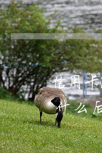 信用卡逾期四個(gè)月會(huì)有什么后果 信用卡4萬(wàn)逾期半年會(huì)坐牢嗎