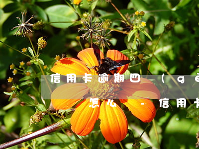 信用卡逾期四個(gè)月沒(méi)接電話怎么辦-信用卡逾期四個(gè)月沒(méi)接電話怎么辦呢
