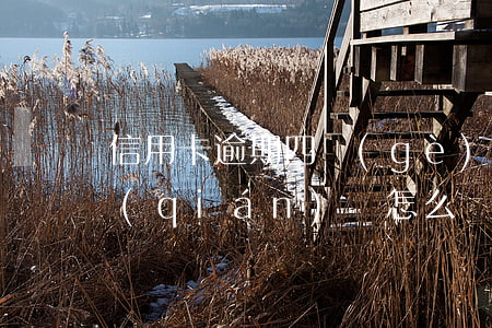信用卡逾期四個(gè)月沒(méi)錢(qián)還怎么辦