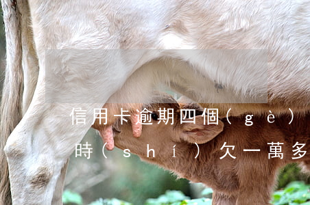 信用卡逾期四個(gè)月當(dāng)時(shí)欠一萬多-信用卡逾期四個(gè)月當(dāng)時(shí)欠一萬多會(huì)起訴嗎