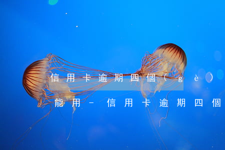信用卡逾期四個(gè)月解凍成功額度不能用-信用卡逾期四個(gè)月解凍成功額度不能用怎么辦