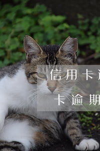 信用卡逾期四個(gè)月還了500(信用卡逾期四個(gè)月還了還能繼續(xù)使用嗎)