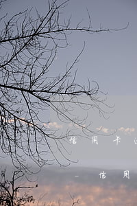 信用卡逾期四個(gè)月還清后還給用嗎-信用卡逾期四個(gè)月還清后還給用嗎怎么辦