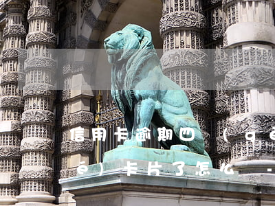 信用卡逾期四個(gè)月銀行凍結(jié)卡片了怎么辦-信用卡逾期四個(gè)月銀行凍結(jié)卡片了怎么辦呢