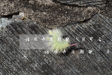 信用卡逾期四個月可以協(xié)商還款嗎-信用卡逾期四個月可以協(xié)商還款嗎