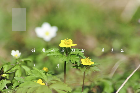信用卡逾期四個月怎么處理(信用卡4萬逾期3個月)