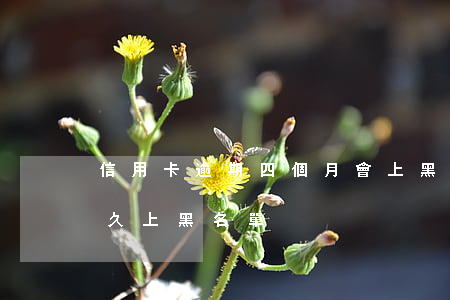 信用卡逾期四個月會上黑名單(銀行卡逾期多久上黑名單)