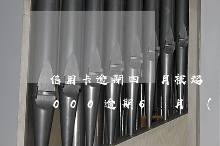 信用卡逾期四個月被起訴怎么辦(信用卡10000逾期6個月現(xiàn)在是起訴狀態(tài)怎辦)