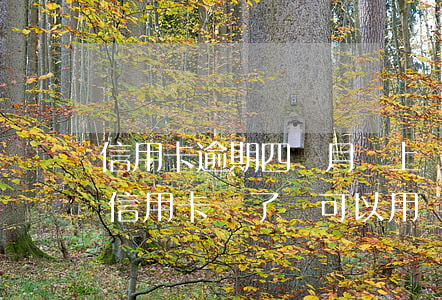信用卡逾期四個月還上還能用嗎(逾期兩年的信用卡還了還可以用嗎)
