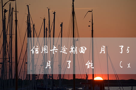 信用卡逾期四個月還了500(信用卡逾期四個月還了還能繼續(xù)使用嗎)