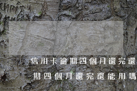 信用卡逾期四個月還完還能用嗎-信用卡逾期四個月還完還能用嗎知乎