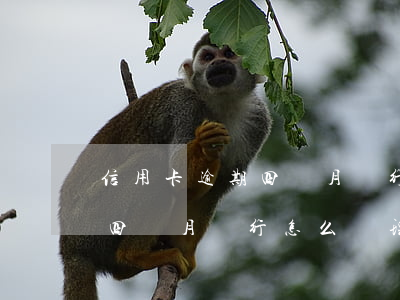 信用卡逾期四個月銀行怎么處理(信用卡逾期四個月銀行怎么處理的)
