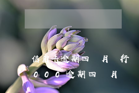 信用卡逾期四個月銀行說立案了-信用卡3000逾期四個月