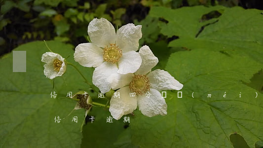 信用卡逾期四分鐘沒(méi)事吧 幾塊錢信用卡逾期
