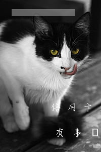 信用卡逾期四十天怎么辦(信用卡逾期十幾天有事嗎)