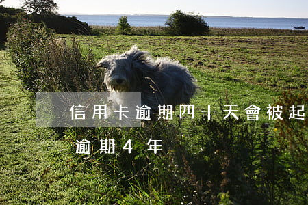 信用卡逾期四十天會被起訴嗎(信用卡10萬逾期4年)