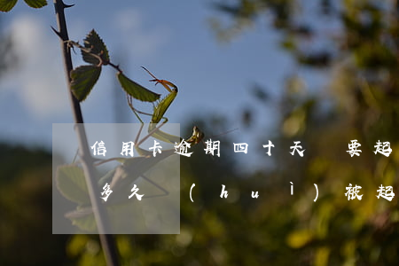 信用卡逾期四十天說要起訴(信用卡4萬逾期多久會(huì)被起訴)