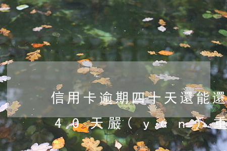 信用卡逾期四十天還能還最低嘛(信用卡逾期40天嚴(yán)重嗎)