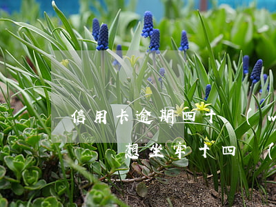 信用卡逾期四十萬(wàn)無(wú)力償還想坐牢(十四萬(wàn)信用卡逾期后果)