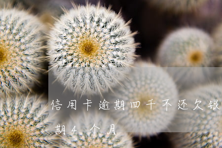 信用卡逾期四千不还(欠银行信用卡欠4万逾期4个月)