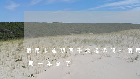 信用卡逾期四千会起诉吗-信用卡4千多逾期一年多了
