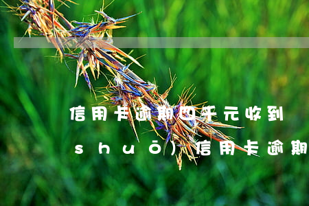 信用卡逾期四千元收到訴訟信(收到短信說(shuō)信用卡逾期被起訴)