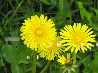 信用卡逾期四千多(信用卡逾期四千多久會被起訴)
