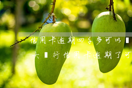 信用卡逾期四千多可以協(xié)商嗎(4大銀行信用卡逾期了可以協(xié)商嗎?)