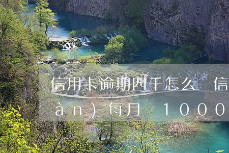 信用卡逾期四千怎么辦(信用卡逾期4萬(wàn)每月還1000)