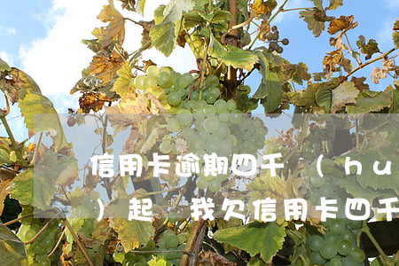 信用卡逾期四千會(huì)不會(huì)起訴我(欠信用卡四千塊錢會(huì)不會(huì)被起訴)