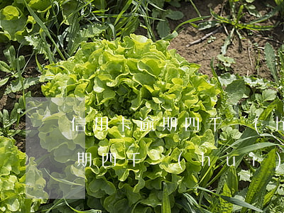 信用卡逾期四千會(huì)坐牢(信用卡逾期四千會(huì)坐牢么)