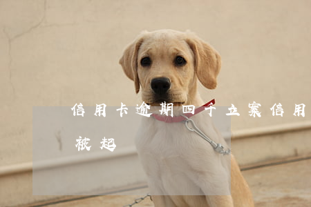 信用卡逾期四千立案(信用卡4萬逾期多久會被起訴)