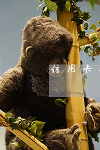 信用卡逾期四句話(欠信用卡錢逾期)