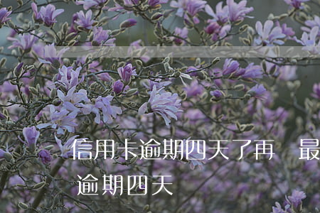 信用卡逾期四天了再還最低可以嗎-信用卡 逾期 四天