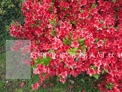 信用卡逾期四天可以还最低(信用卡4天算逾期吗)