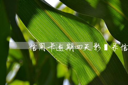信用卡逾期四天影響呆(信用卡逾期4天影響)