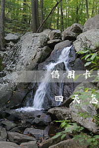 信用卡逾期四天怎么處理違約金(信用卡逾期四天怎么處理違約金)