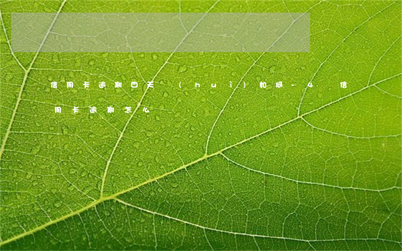 信用卡逾期四天會(huì)如何-4張信用卡逾期怎么辦