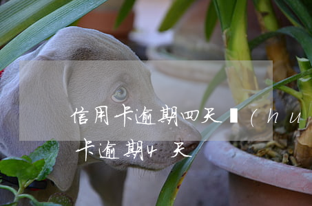 信用卡逾期四天會(huì)變黑戶嗎(信用卡逾期4天)