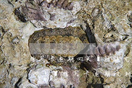 信用卡逾期四天會被追究刑事責(zé)任 四十萬信用卡逾期被判多久?