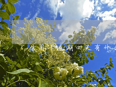 信用卡逾期四天有什么影響(信用卡逾期4天)