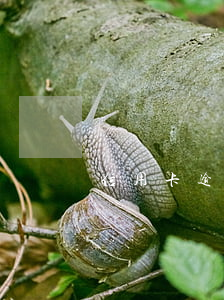 信用卡逾期四天的后果