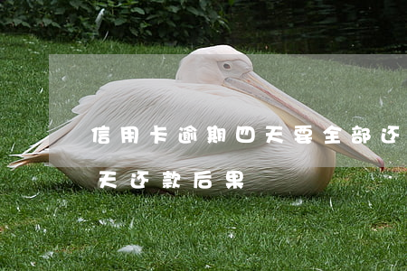 信用卡逾期四天要全部还款吗(信用卡逾期四天还款后果)