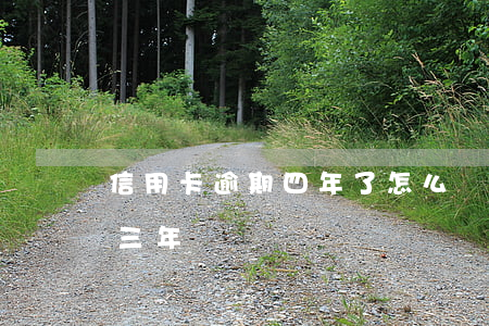 信用卡逾期四年了怎么辦-信用卡4萬逾期三年