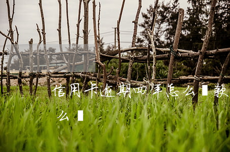 信用卡逾期四年怎么還款(信用卡逾期三年怎么還)