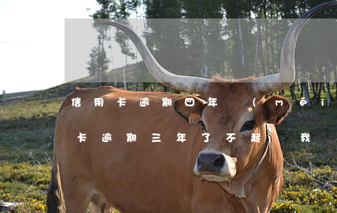 信用卡逾期四年沒(méi)被起訴(我信用卡逾期三年了不起訴我為什么)