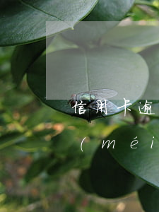 信用卡逾期四年還款后果(信用卡逾期四年沒(méi)還會(huì)怎么辦)
